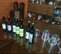 Wine tasting in Imereti