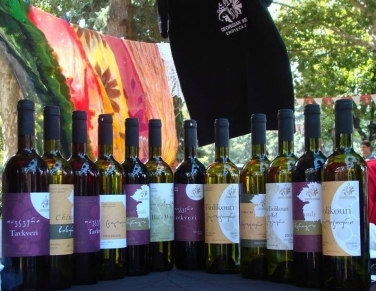 გორის ღვინის ფესტივალი 2014